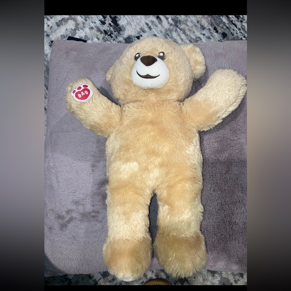 Build a bear 2017 Teddy